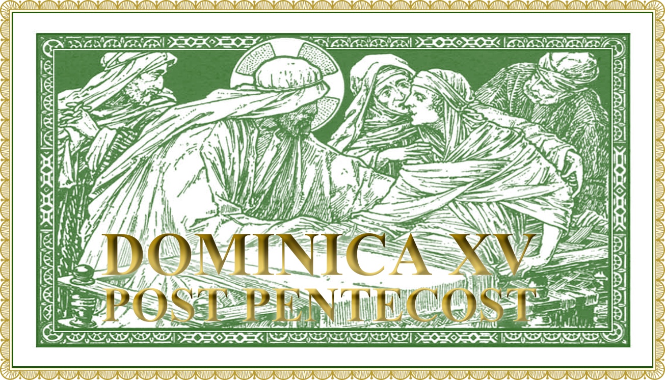 Sermon for the Fifteenth Sunday after Pentecost