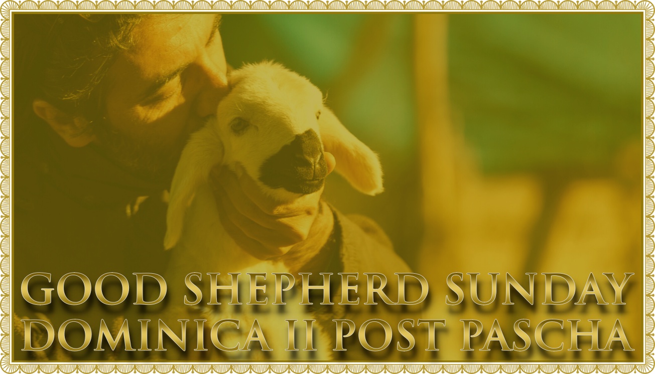 Good Shepherd Sunday: The Voice, the Fold, and the Priest