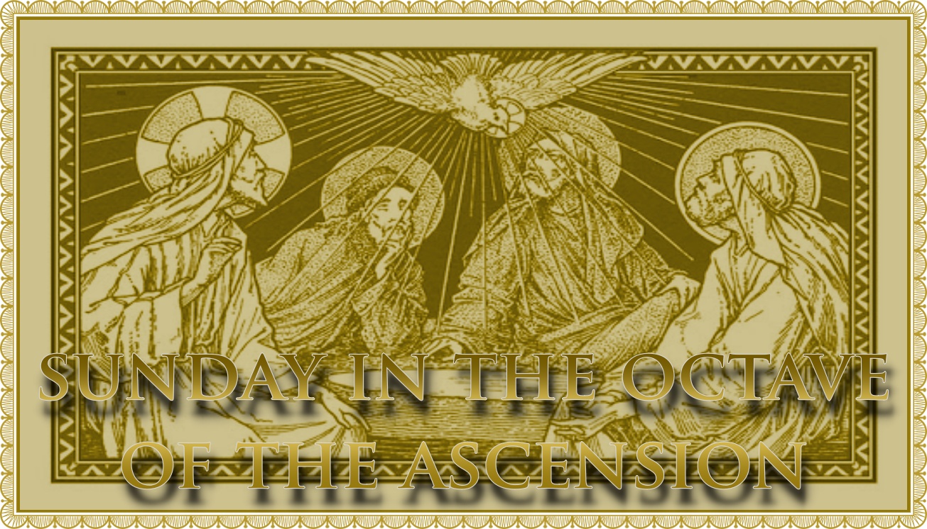 Sermon for Sunday within the Octave of the Ascension